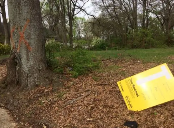 Know how to obtain a permit for tree removal in Atlanta