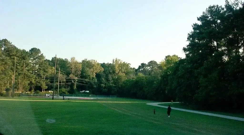 Professional tree care services in Atlanta by Eastlake Tree Service