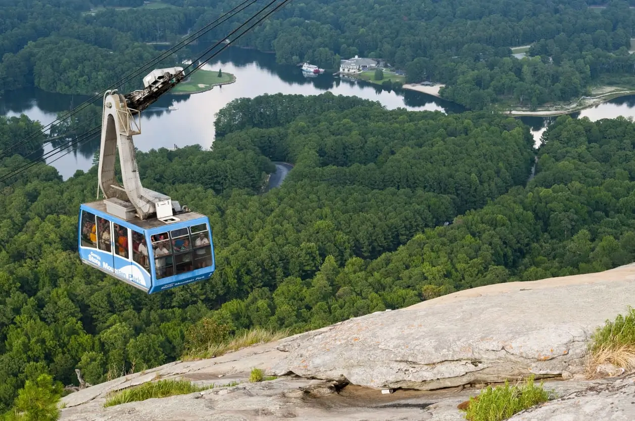 Professional tree care services in Atlanta by Eastlake Tree Service