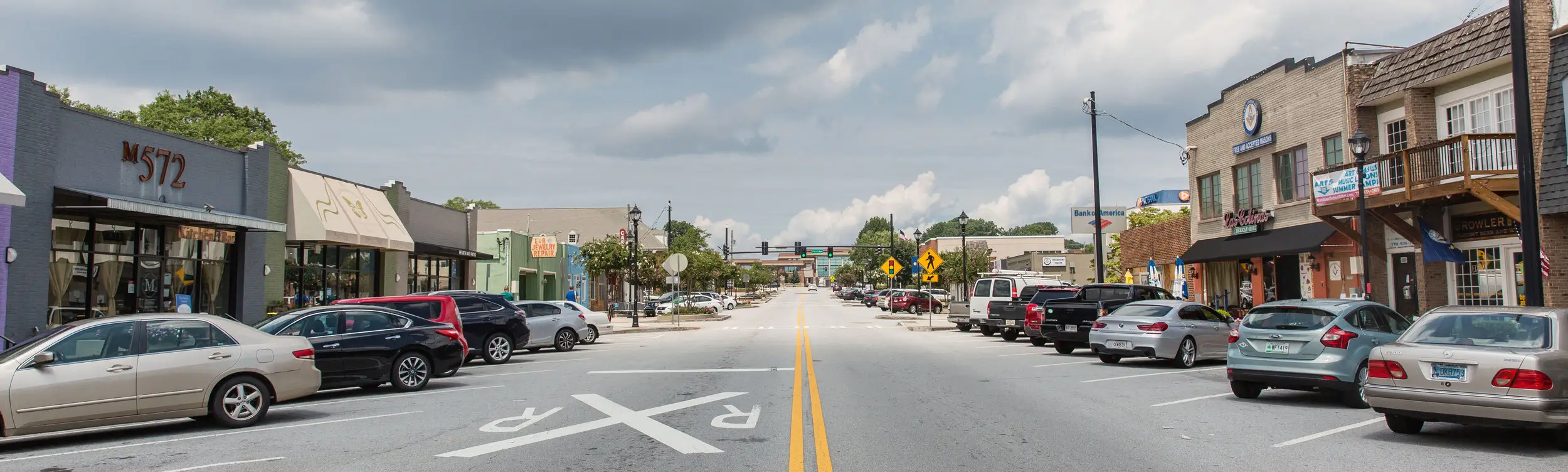 Professional tree care services in Atlanta by Eastlake Tree Service