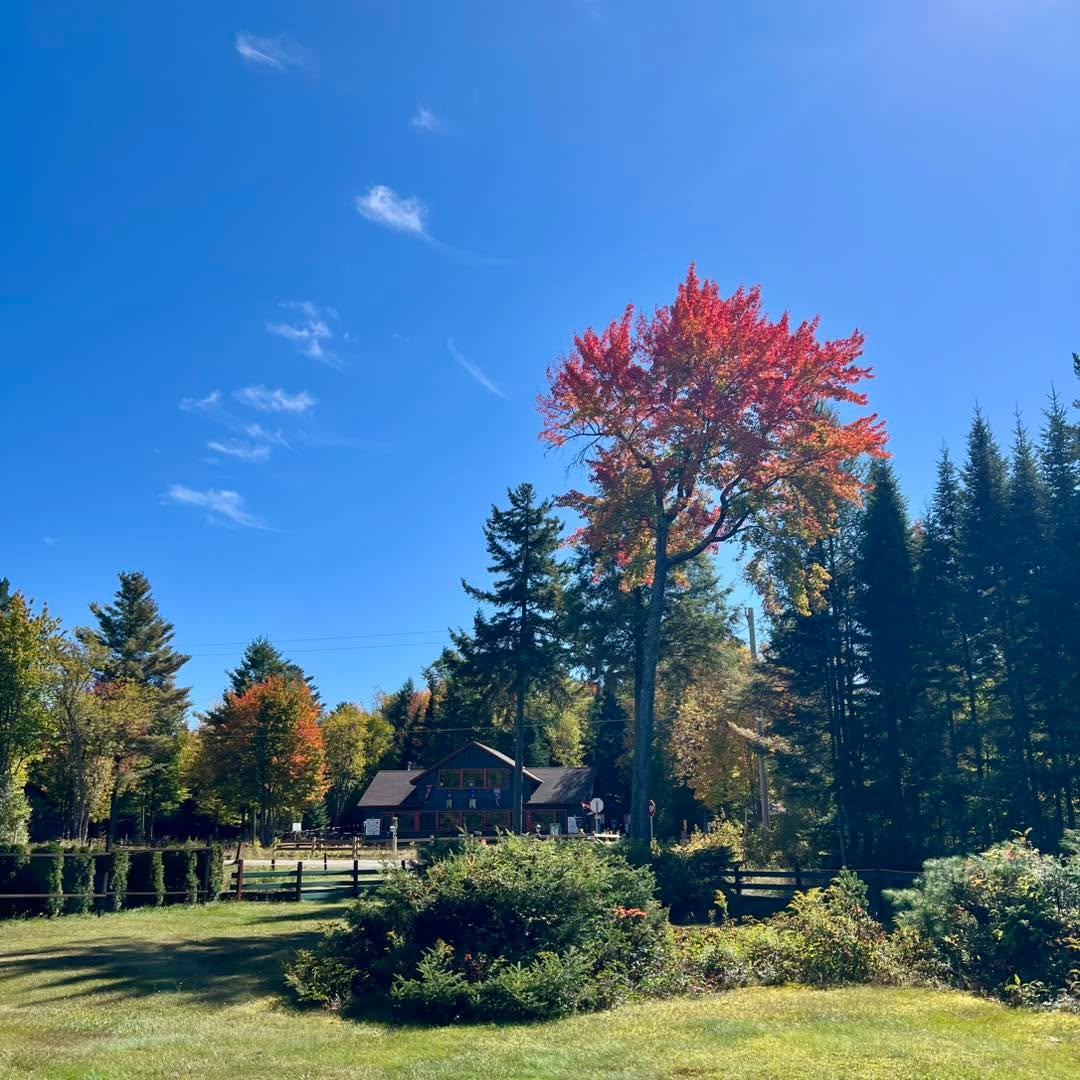 With the colder nights, the foliage is starting to pop! 

#fallfoliage #lakeclearlodge #foliage #adirondacks