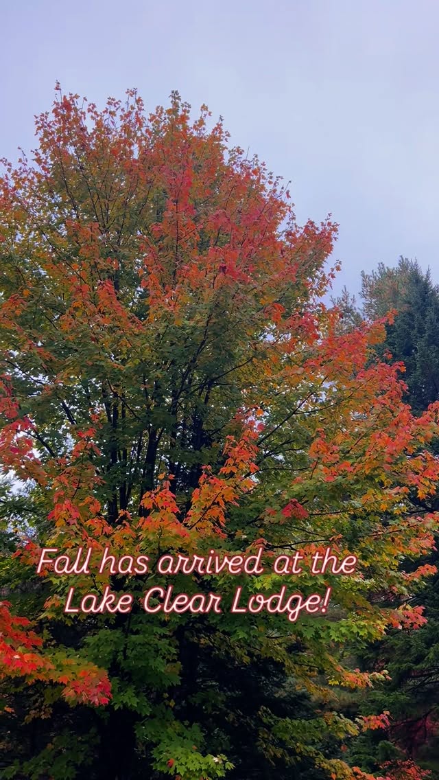 The foliage is here! 🍂 #lakeclearlodge #fallfoliage #adirondacksny #adirondacks