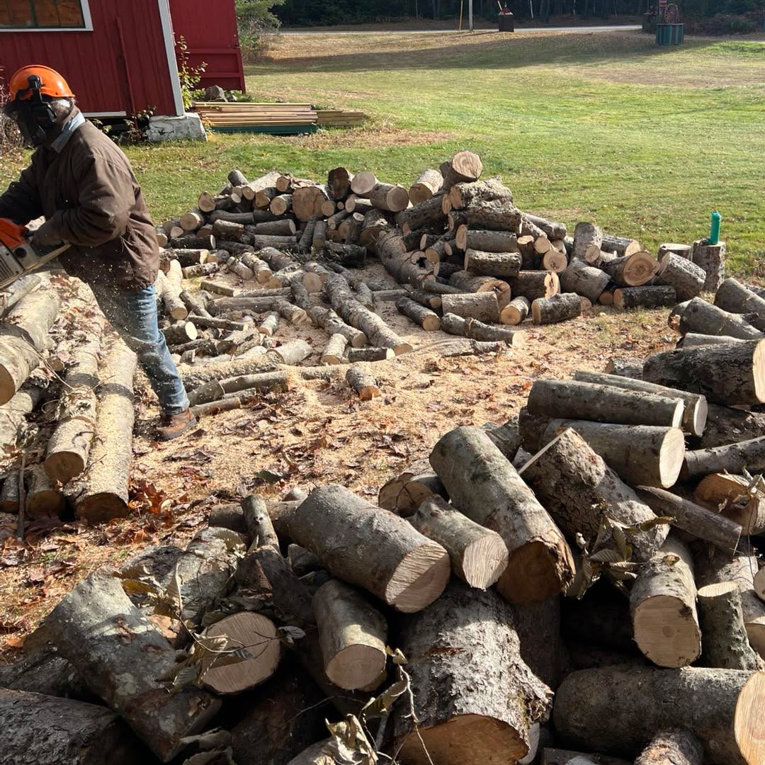 We may be closed, but the work doesn’t stop!

This wood will be cut, split, and stored before being used for firewood in a few years. 🔥