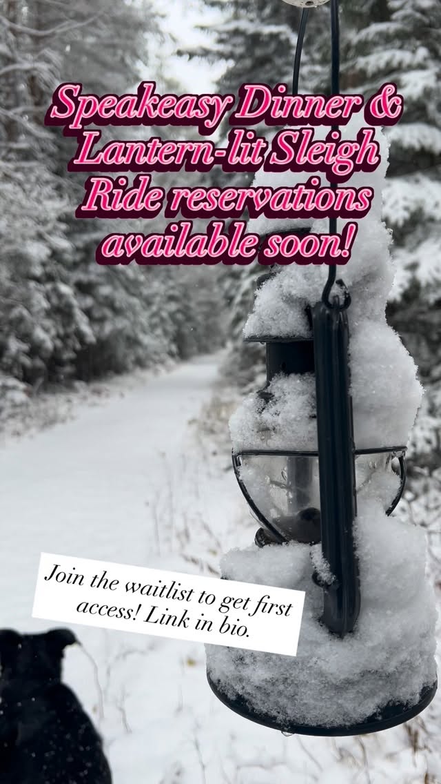 Lantern-lit Sleigh Ride & Speakeasy Dinner reservations will be available soon! Don’t forget to sign up for the waitlist to get first access (clickable in bio): https://forms.gle/ctcpeufrFTxoWAbt8