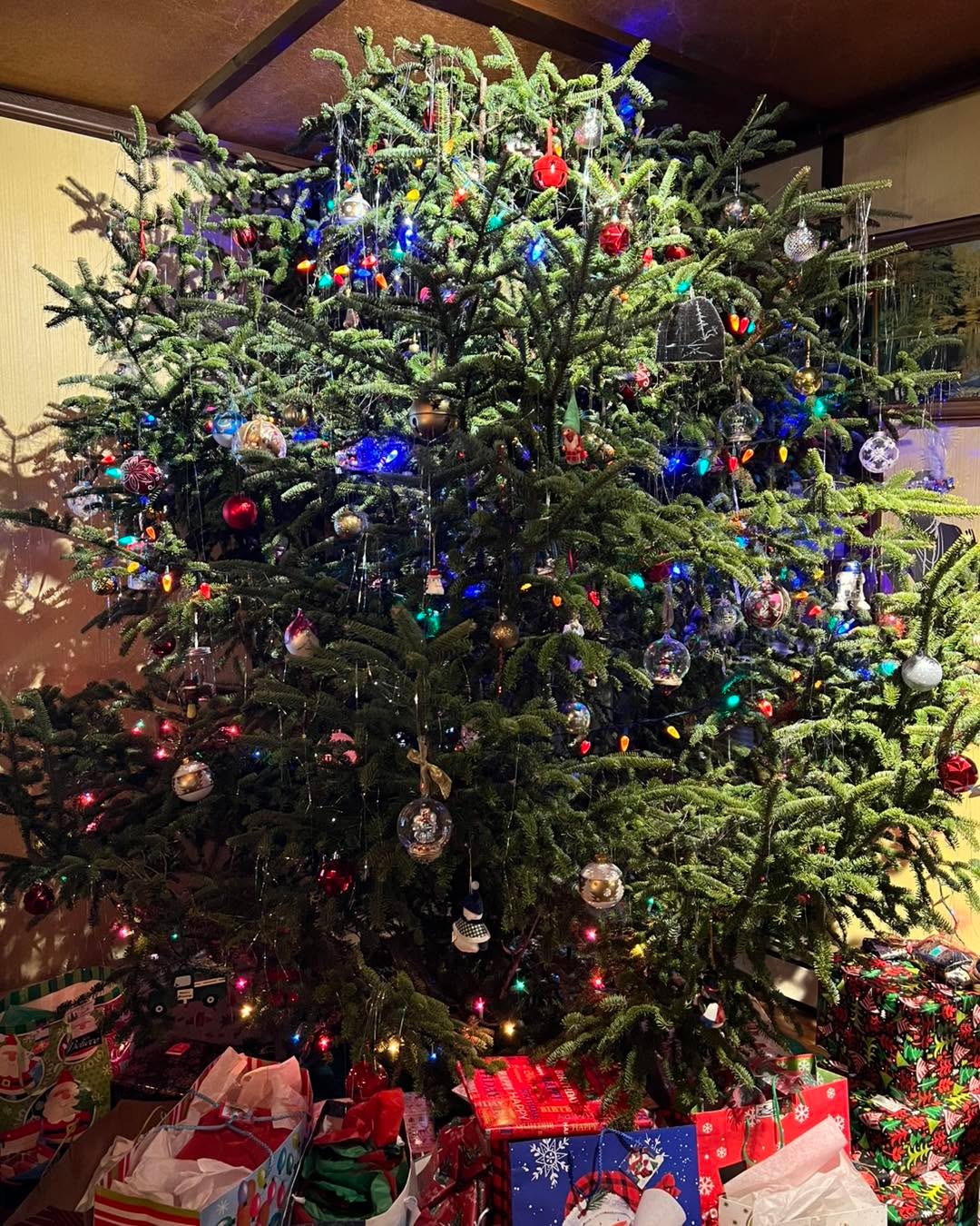 Wishing everyone a very Merry Christmas and Happy Holidays from the Hohmeyer Family!