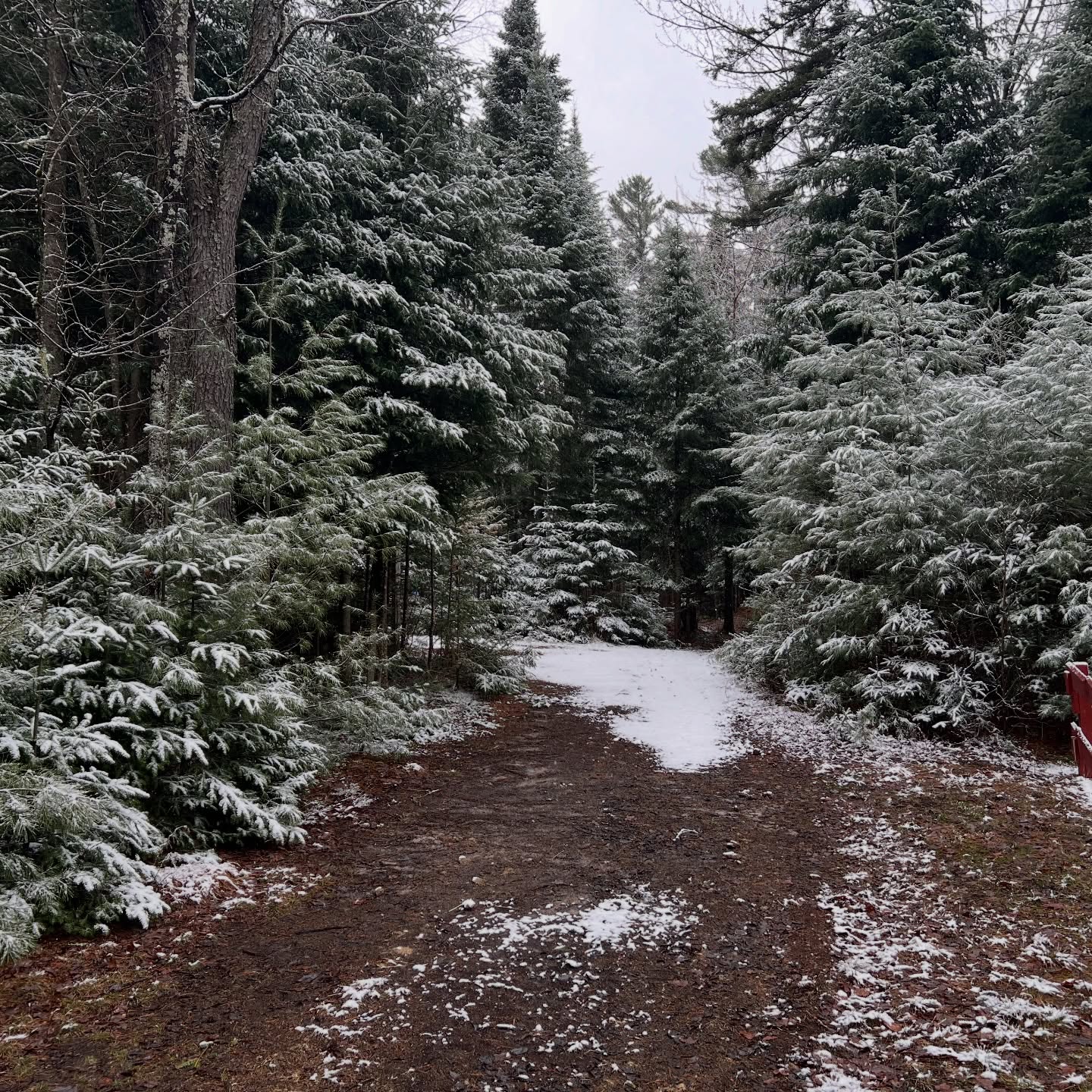 Spring went on a hiatus today after the 70 degree weather yesterday!