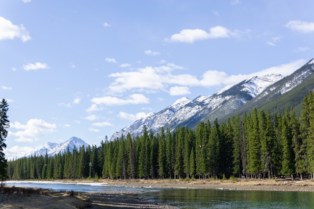 Refused by IRCC? 4 Options After a Refusal