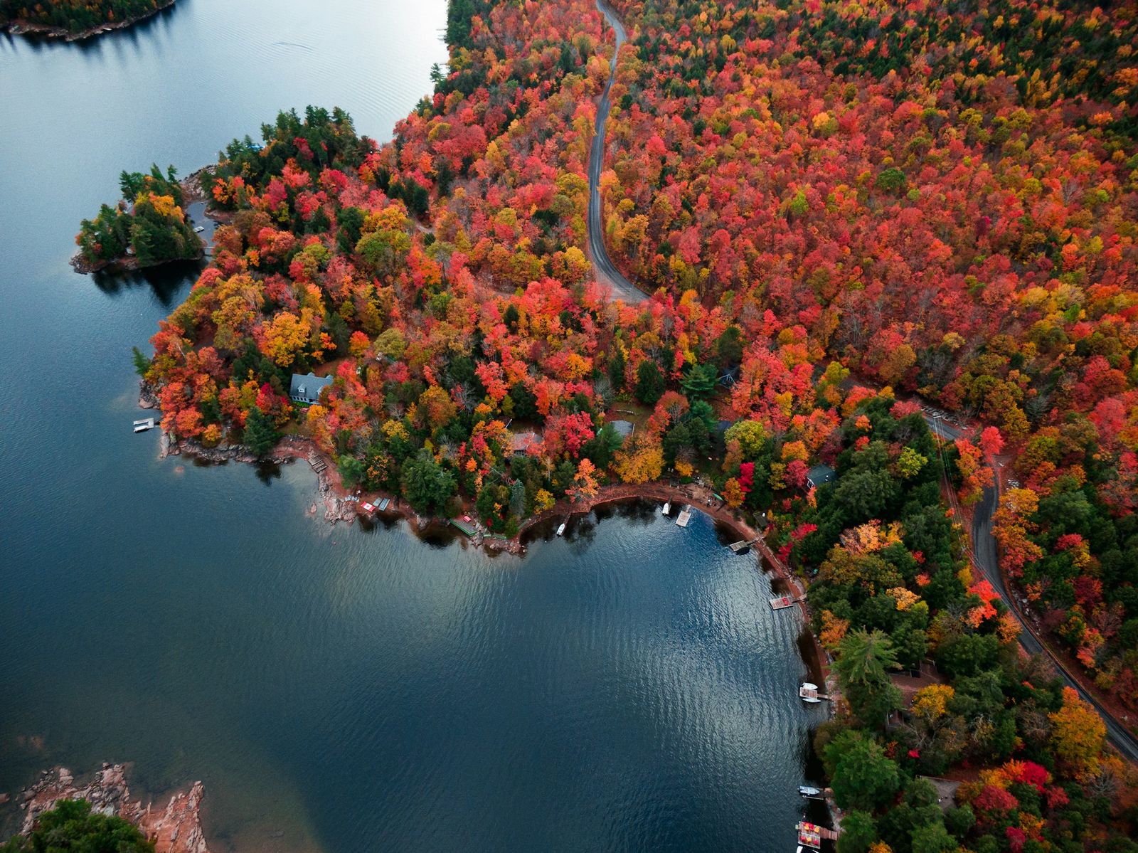 Vue aérienne d'une rive de lac couverte d'arbres aux couleurs de l'automne