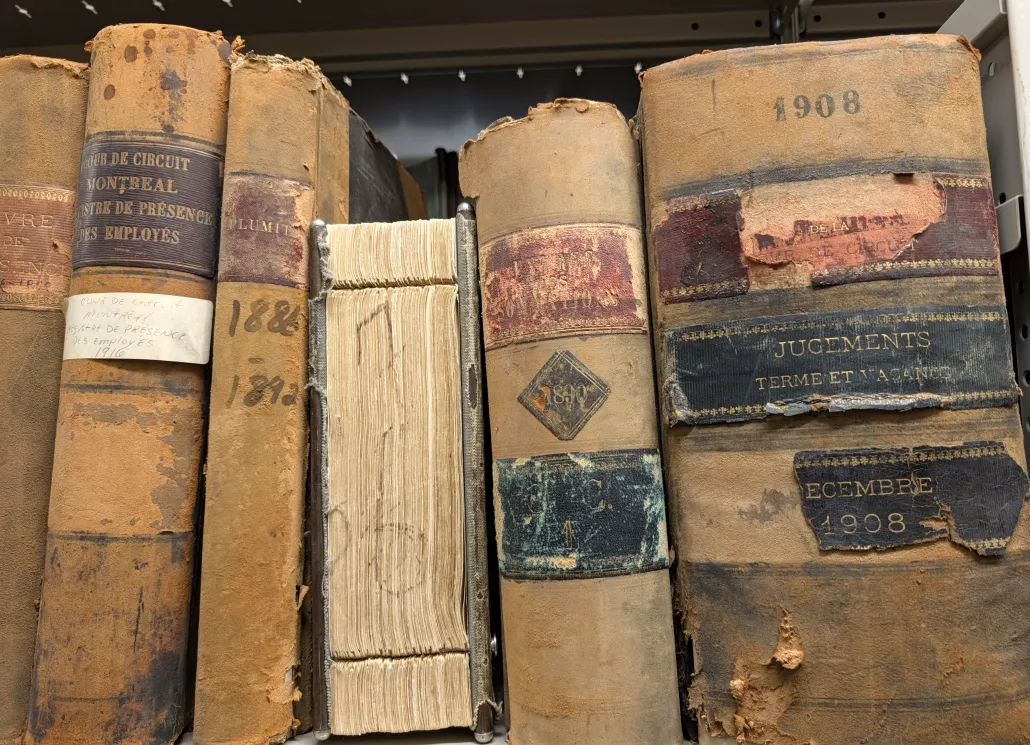 Worn leather-bound volumes of Quebec court registers from the 1880s to 1908 lined up on an archive shelf