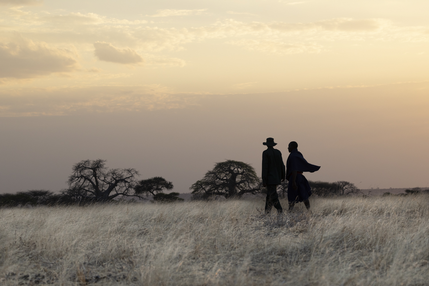 Tanzania, Randilen WMA,ranger and Massai walking together,  conservation