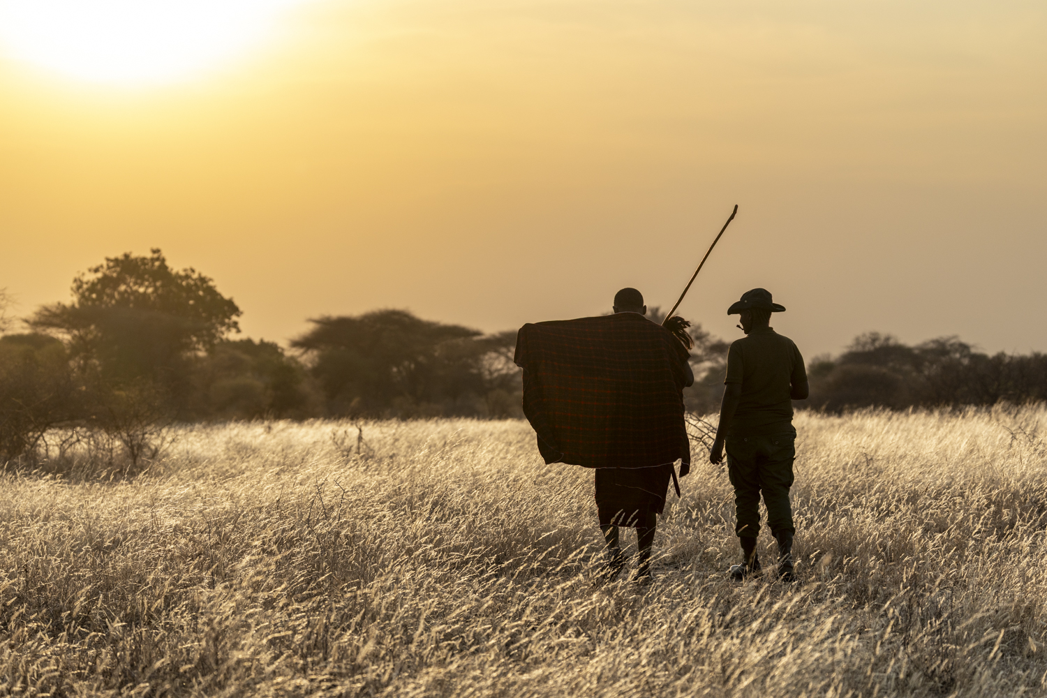 Tanzania, Randilen WMA,ranger and Massai walking together,  conservation