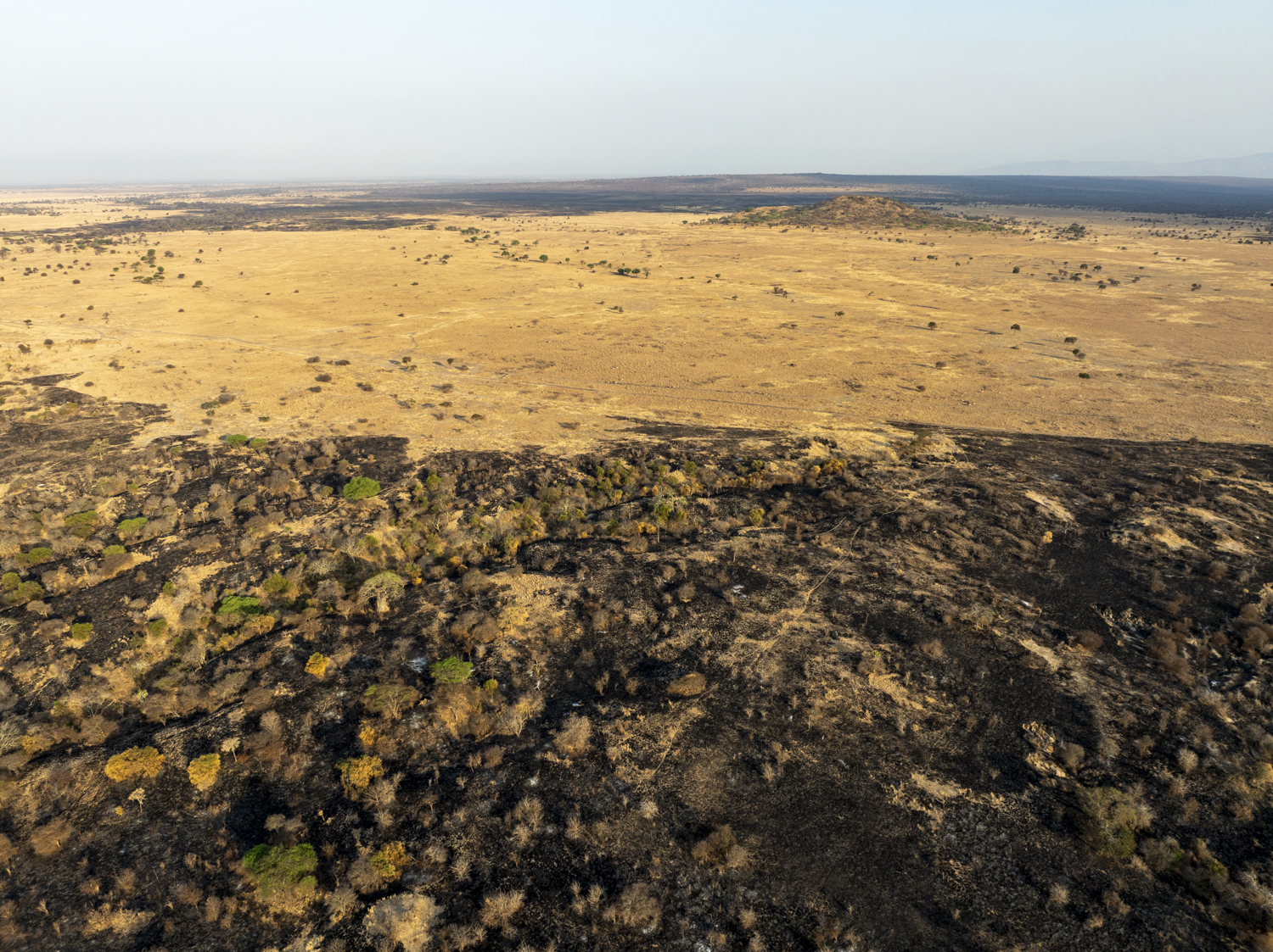 Tanzania, Randilen WMA, aerial view of the recent fire