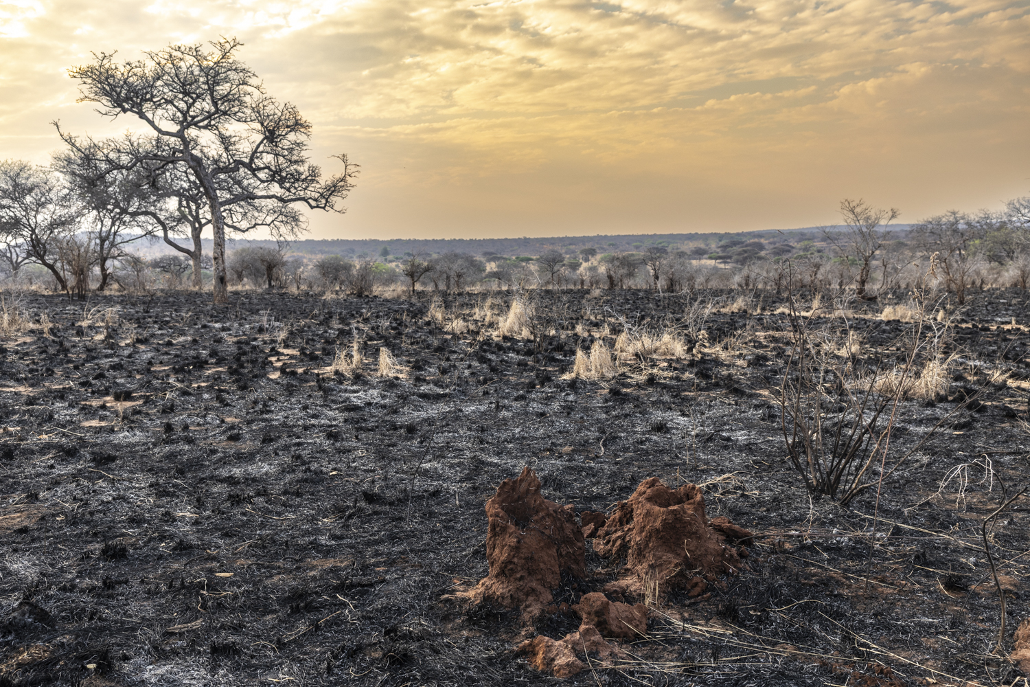 Tanzania, Randilen WMA, aerial view of the recent fire