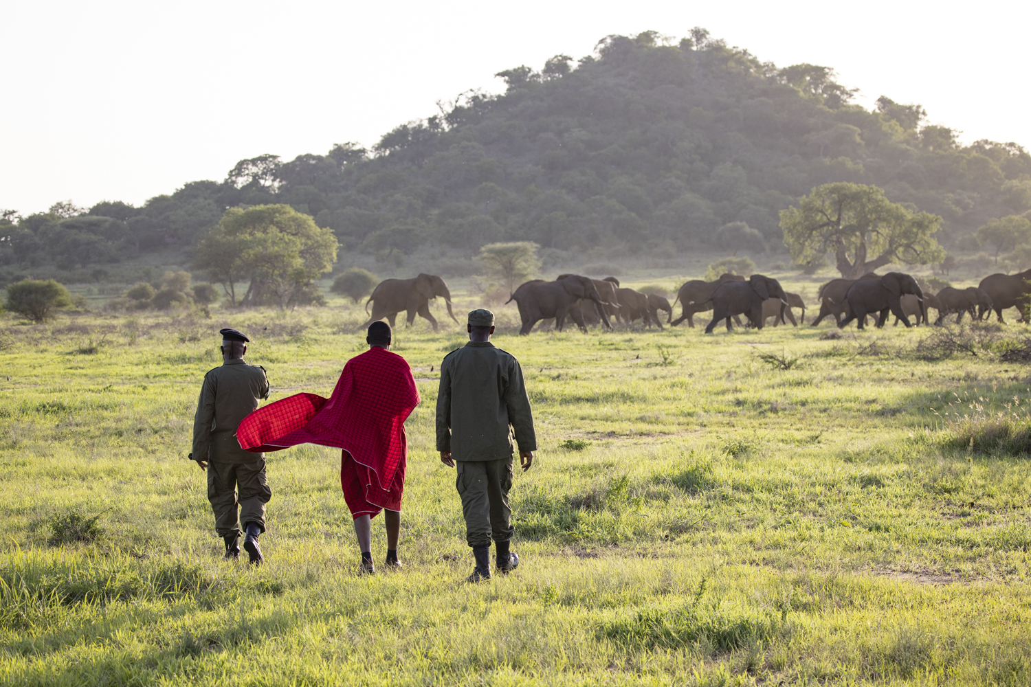 Massai and ranger working together for conservation-Randilen WMA-Tanzania