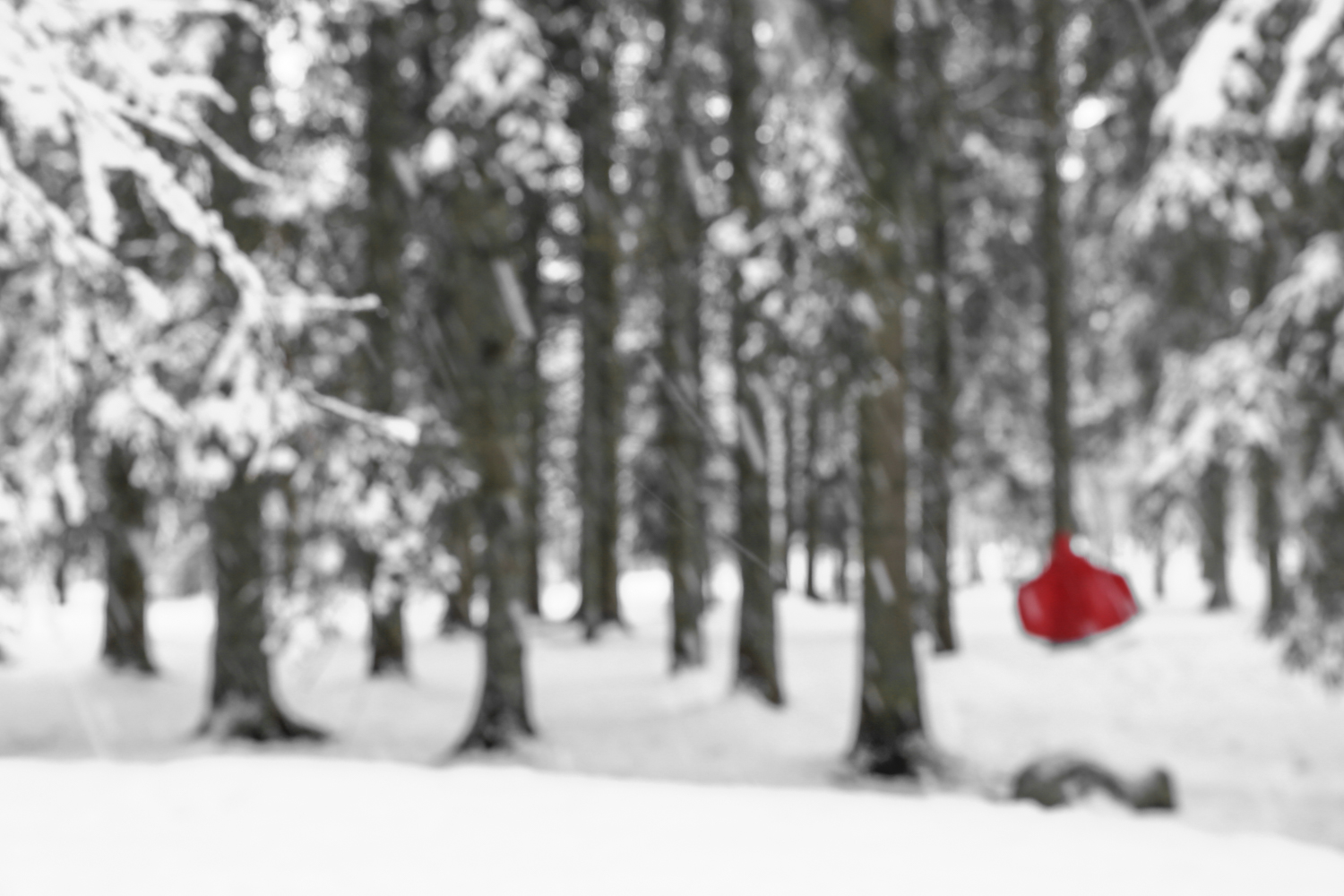 Série "Petit Chaperon rouge", tirage d'art, art print  Red Riding Hood