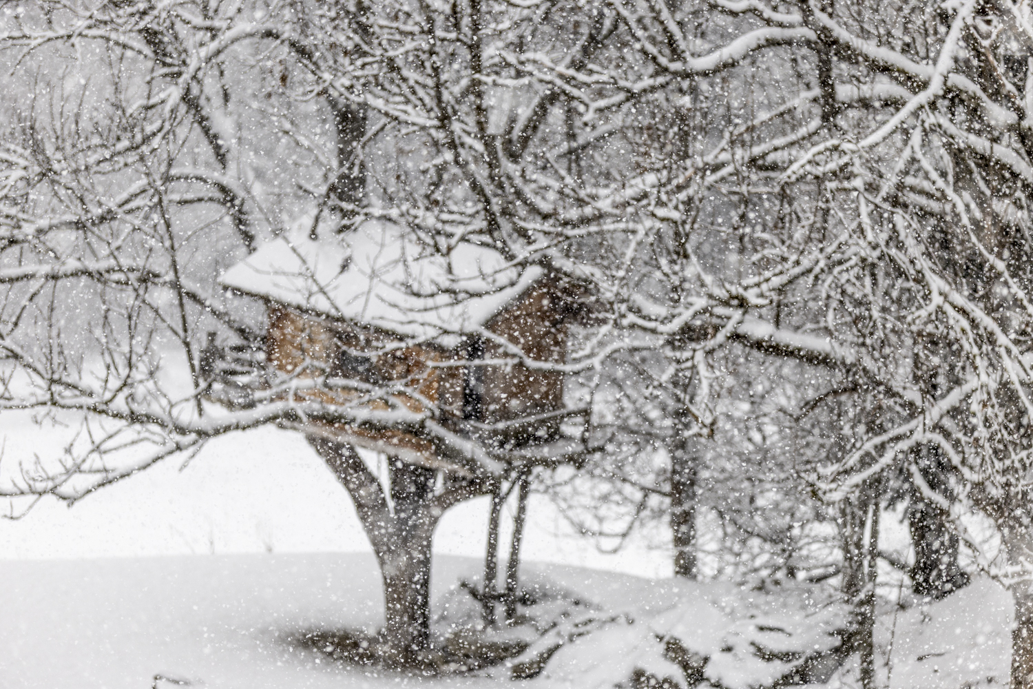 Cabane en bois entourée d’arbres enneigés, paysage hivernal profond EN : Wooden cabin surrounded by snowy trees, deep winter landscape