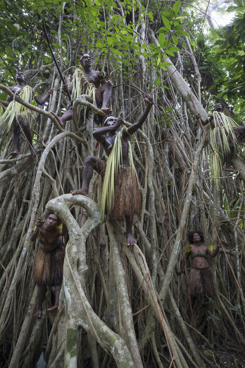 Salomon Islands, native people ready for hunting on a sacred Banian tree