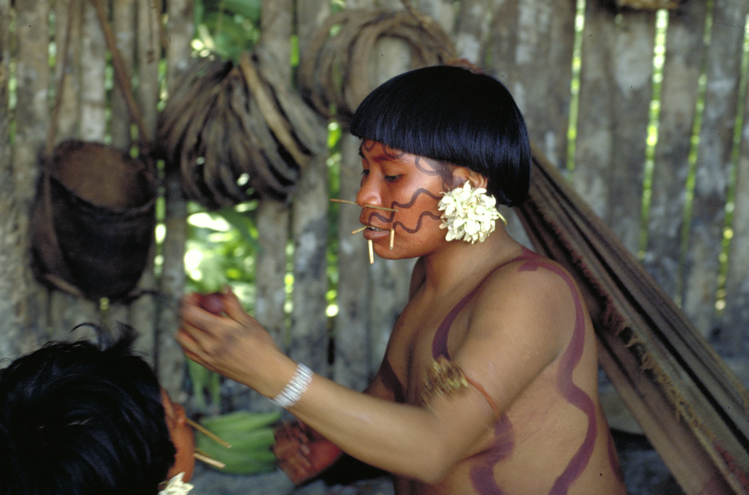 Yanomami  young woman in her environment inside the village.