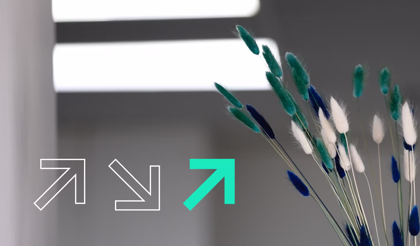 Functional programming languages: a blazingly fast face-off