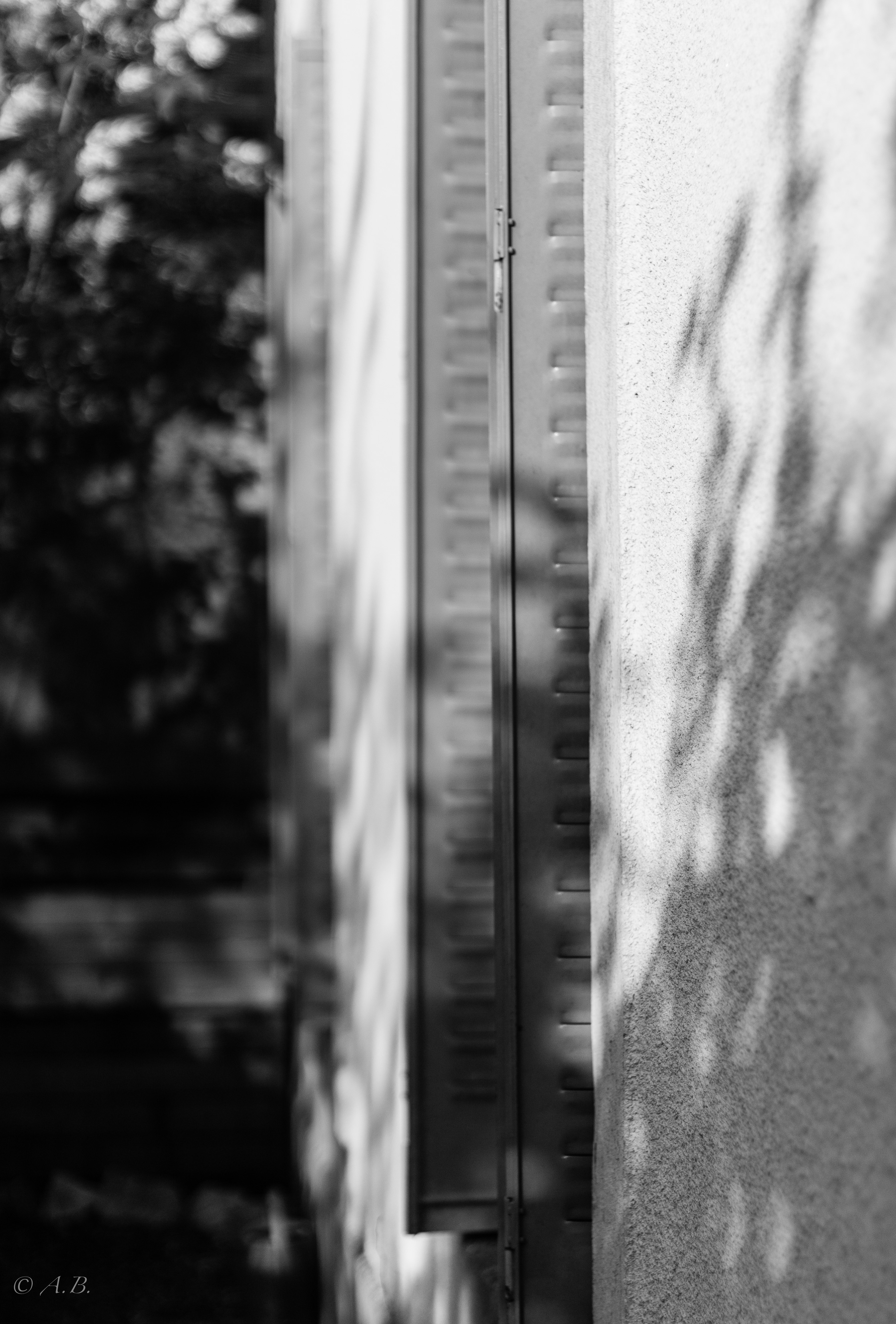 black&white shutters