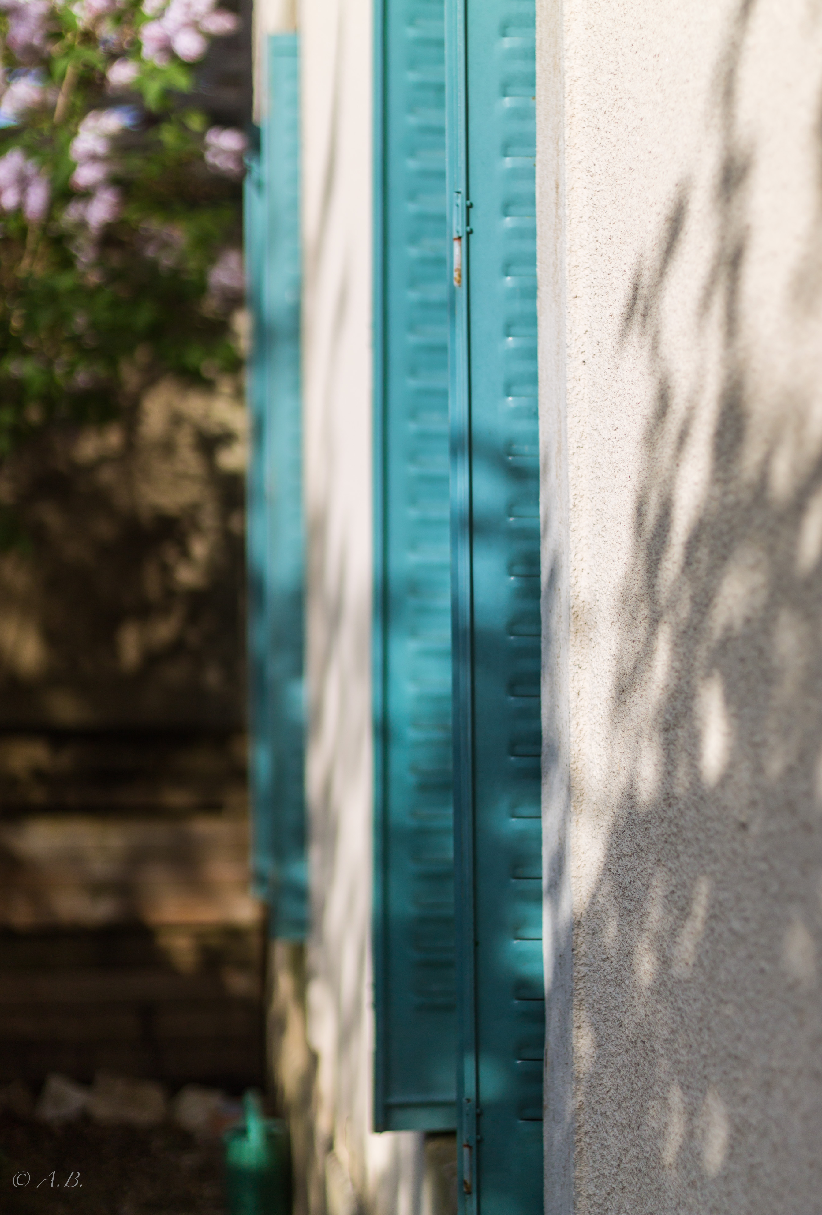 Shutter