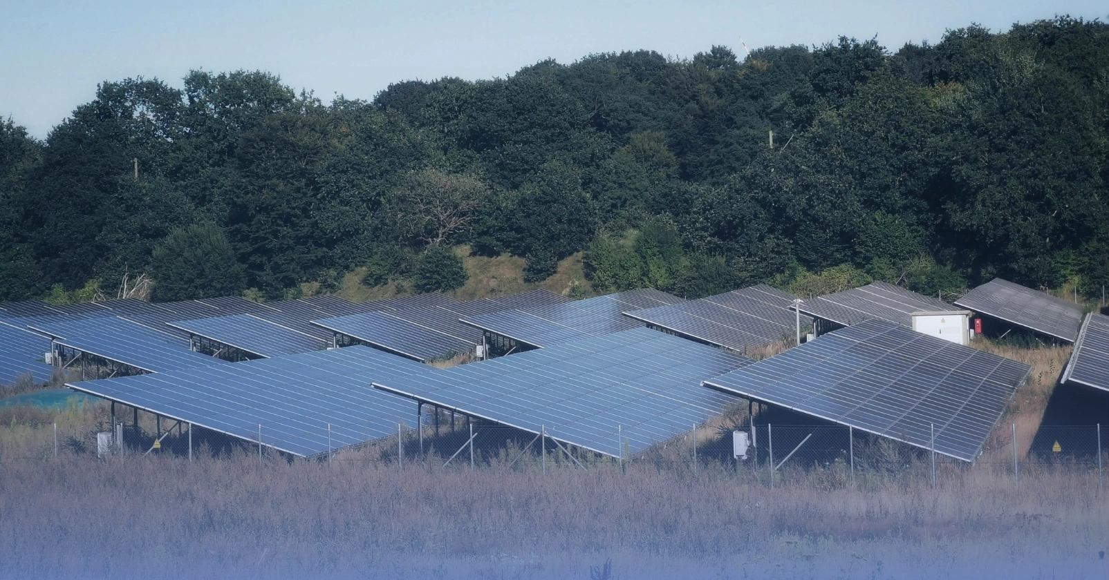 solar arrays in central Texas with beautiful fauna in the background