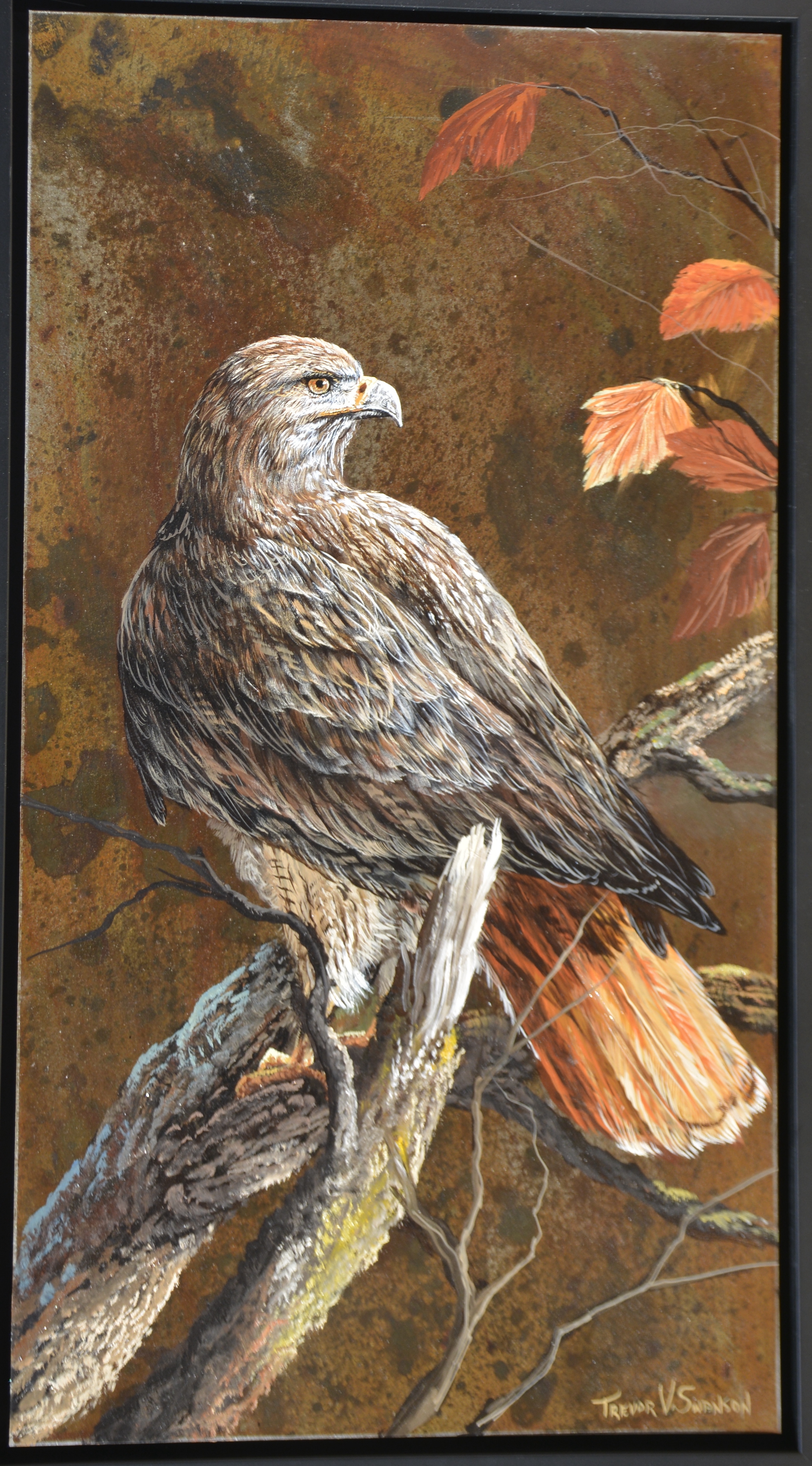 Watcher in Fall