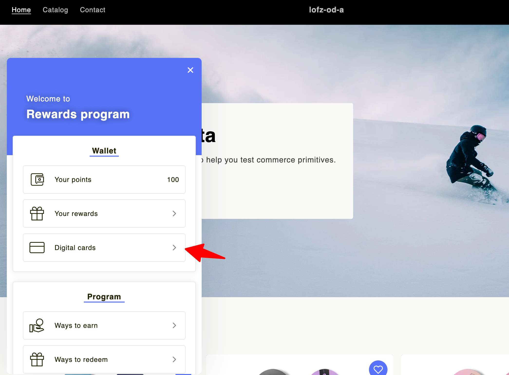 Loyalty digital cards in Froonze floating widget on every page of Shopify stores