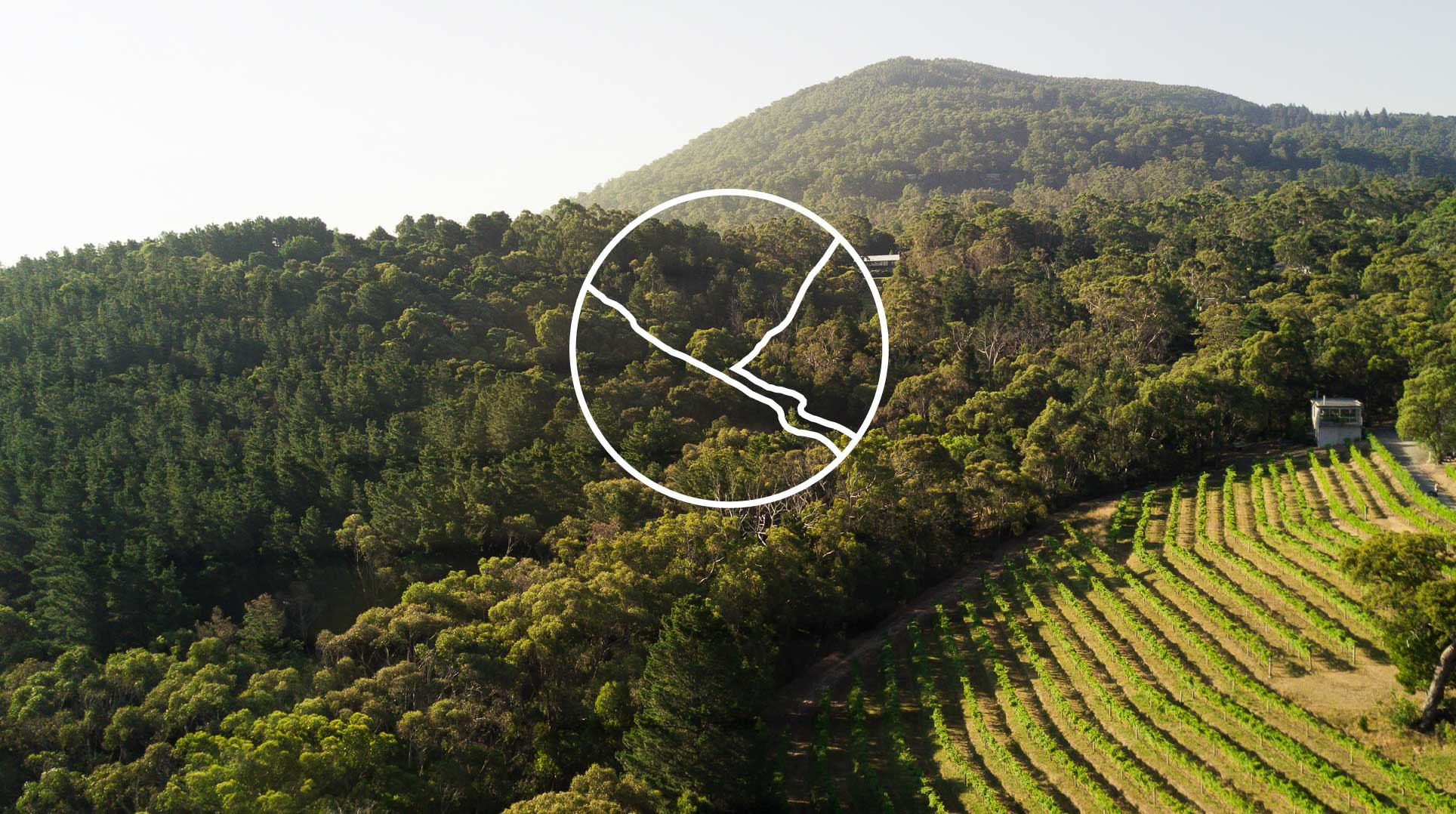 Mount Towrong Vineyard brand identity for a family-owned winery in the Macedon Ranges