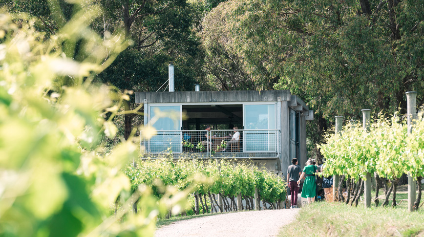 Mount Towrong Vineyard cellar door in the Macedon Ranges