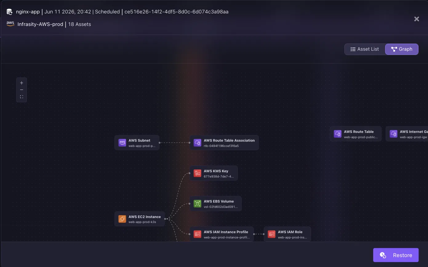 Firefly dependency graph showing connected AWS resources for an application snapshot