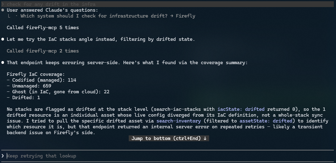 Terminal session showing an AI-assisted infrastructure conversation querying Firefly for cloud resource and configuration information