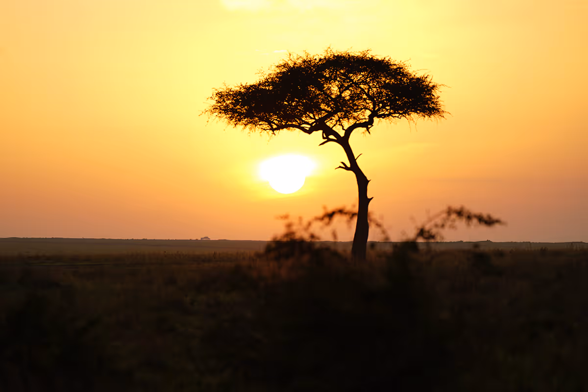 Sunset