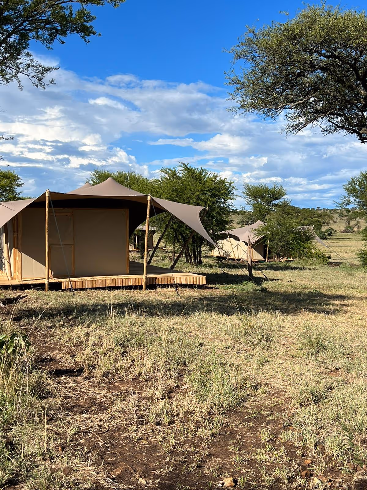 Anantya Serengeti - Tents