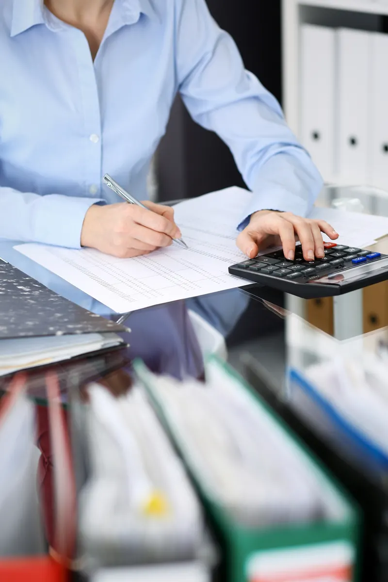 IRS audit representation