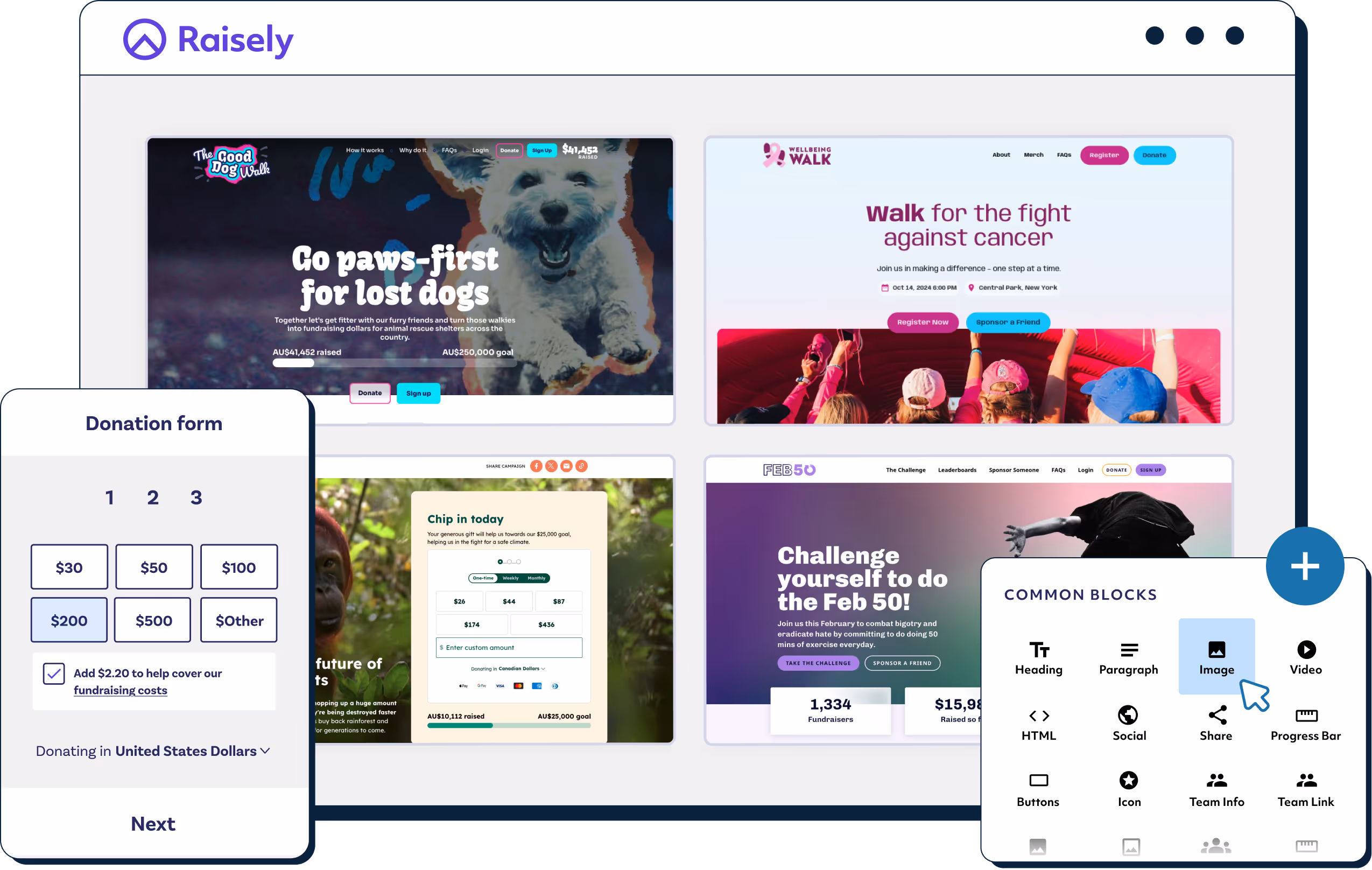 Raisely website builder showing website templates, drag and drop builder and a donation form