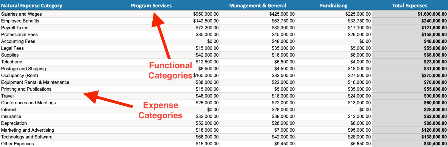 Statement of Functional Expenses - Categories