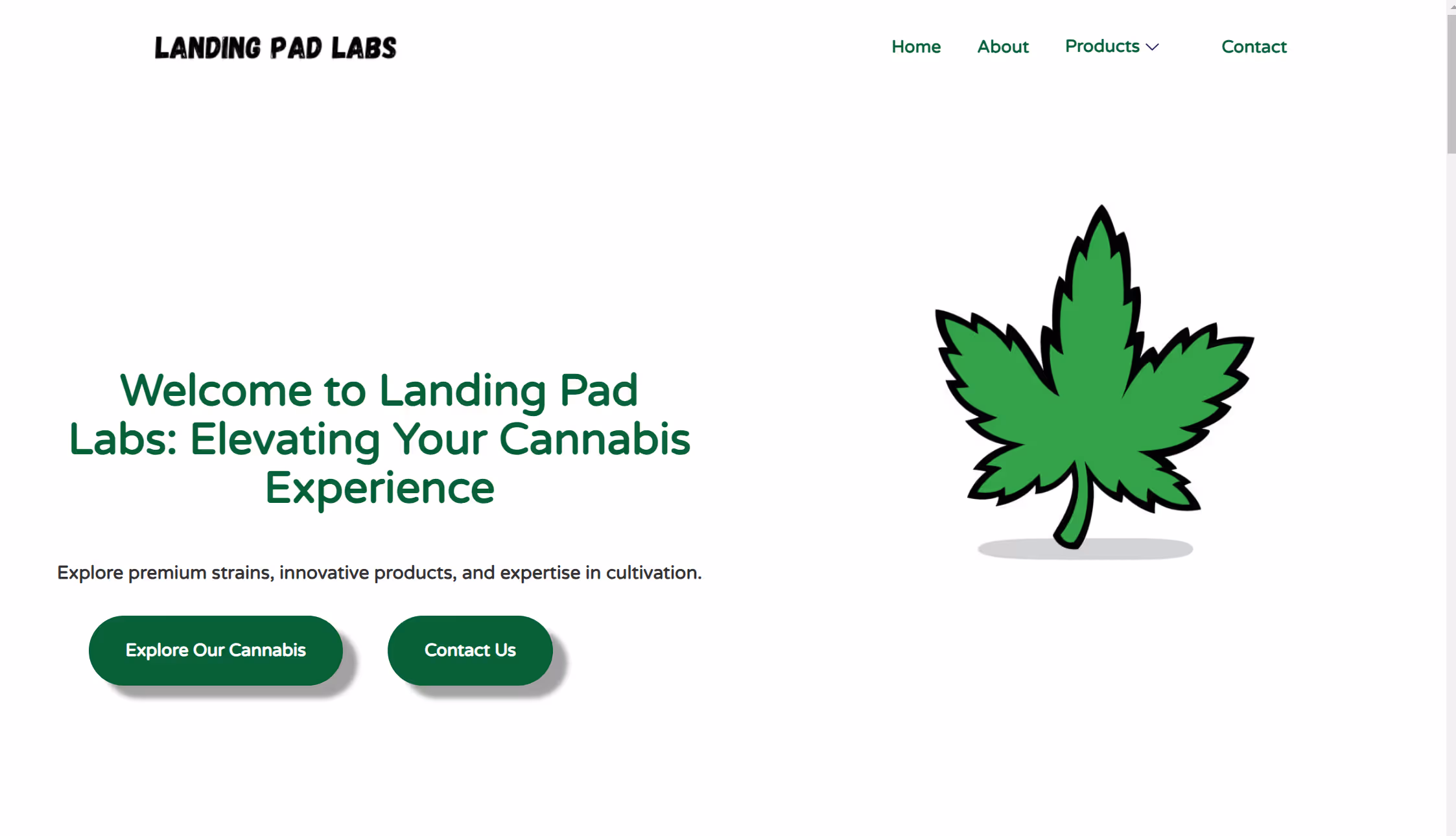 Screenshot of Landing Pad Labs website homepage