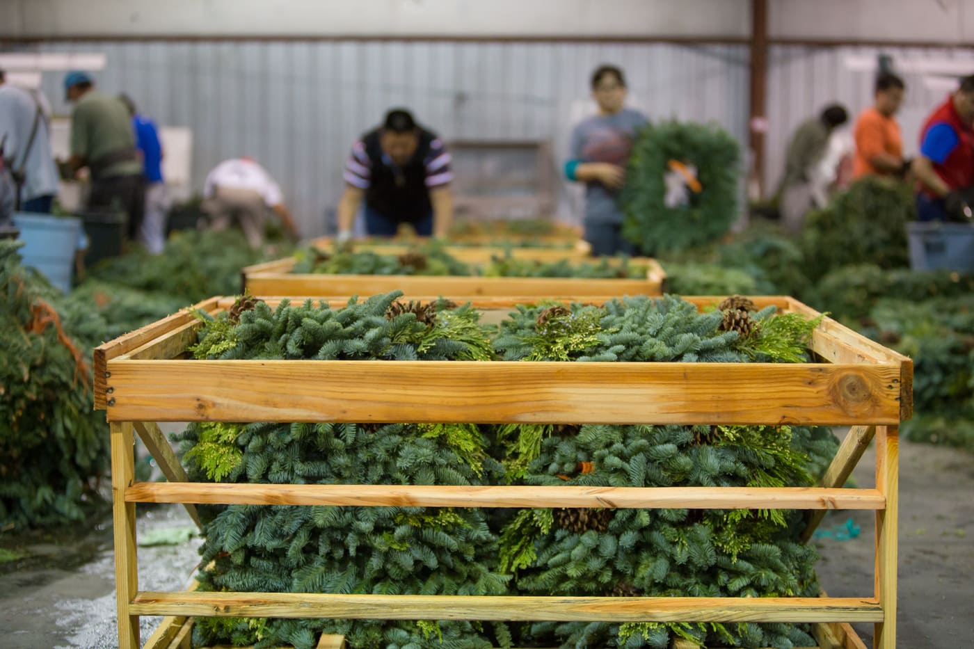 Workers assembling holiday greenery at Continental Floral Greens production facility