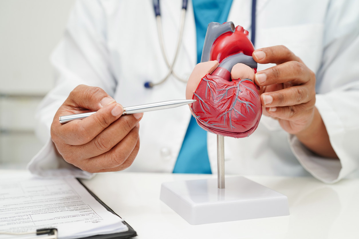 A doctor points to a model of a heart as he educates a patient about high cholesterol.