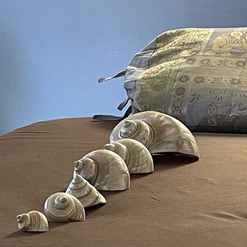 Geistheilung mit Muscheln