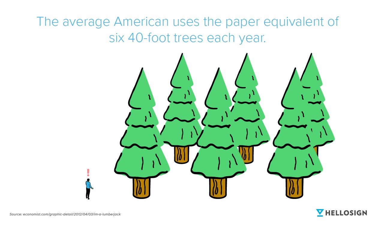 Image of trees and the quote: "the average American uses the paper quivalent of six 40-foot trees each year."