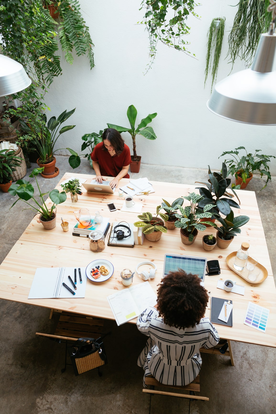 Foto van twee mensen die aan een tafel werken, omringd door planten