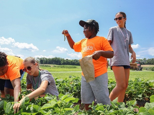 Harvesting fresh produce — replace with America's Grow-a-Row photo