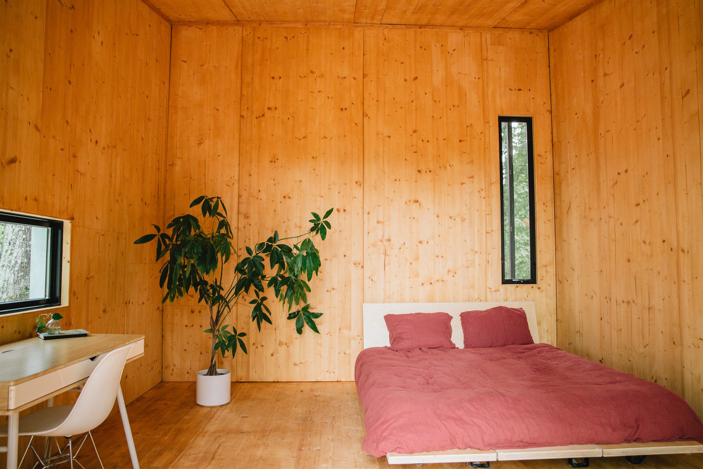 Modern cabin under construction with timber framing among trees