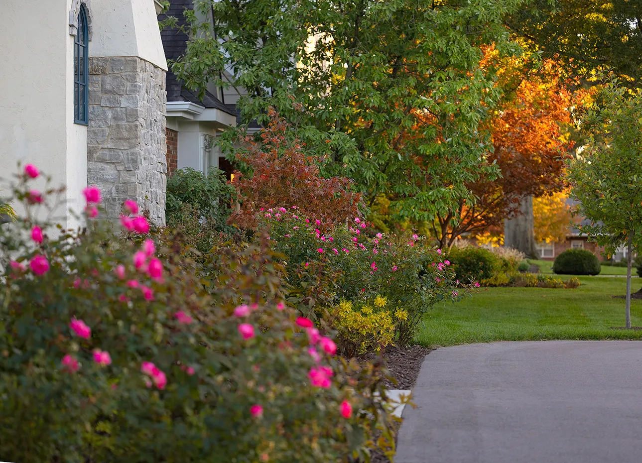 Neighborly New Build Home