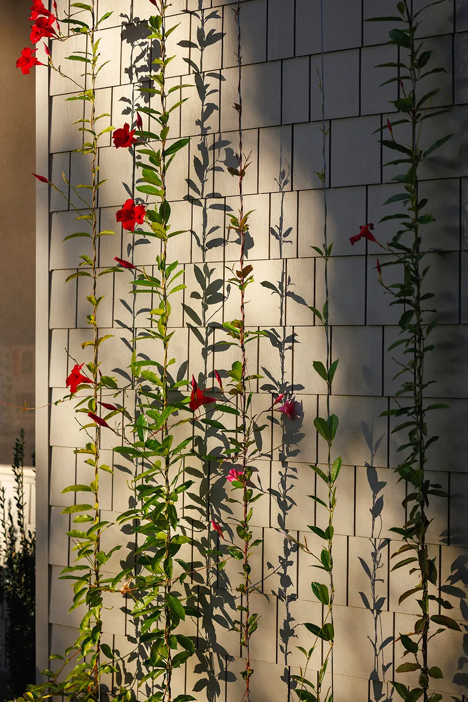 Neighborly New Build Home