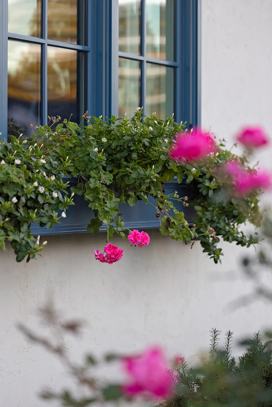 Neighborly New Build Home