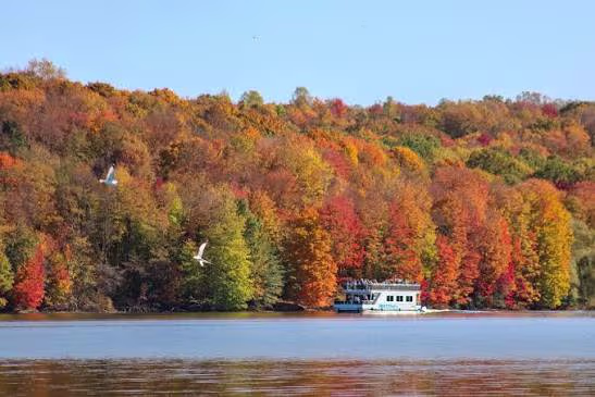 Passenger boat cruising past colorful autumn trees along the shoreline
