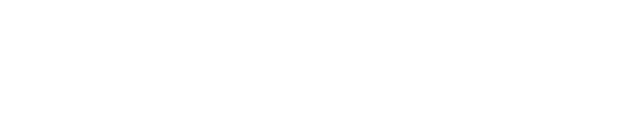 TransActioner logo